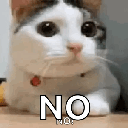 NoCat animated emote - Blade's cord