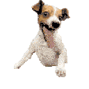HaHaHa animated Discord emote from Blade's cord