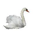 emoji_24