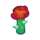 Rose_Seed