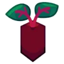 Beetroot_Seed