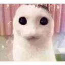 Huh