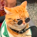 emoji_464 Discord emoji