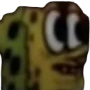bobwhat