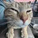 dubious