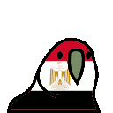 :Egyptd: