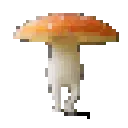 funkyorange