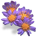 9215flowerspurple