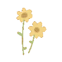 75789tinyyellowflowers