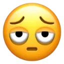 facewithbagsundereyes_1fae9