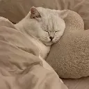 sleep
