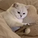 texting texting