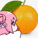 dorolick8