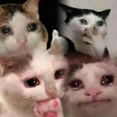 emoji_31 custom emote from Bầy sói