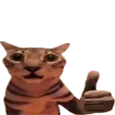 okak okak