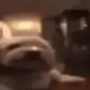kekwdog