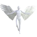 wings