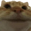 yes