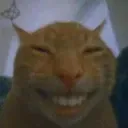 buhdx