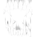 FANGS