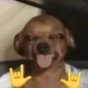 ERRRR