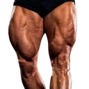 :quads:
