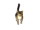 emoji_27