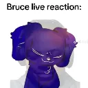 spedlaufh