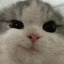 emoji_26