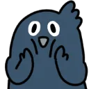 crowconcern