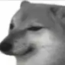 kyaboluab