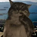 M_