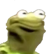 kermit_watafak