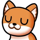 raysU