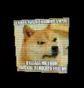 doge