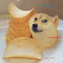 shibachips