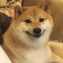happyshiba2