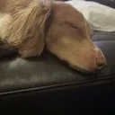 sleep