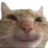 :catsmile: catsmile
