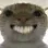 cat_haha