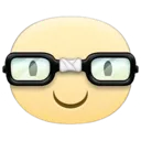nerd