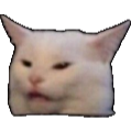 Confused_cat Discord emoji