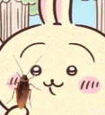 nhaigia