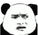 panda2