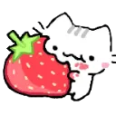red_cat_strawb2