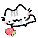 red_cat_strawb3