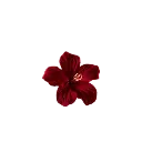 Yanderef