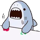 bongoshark