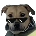 buttercool