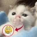 emoji_34